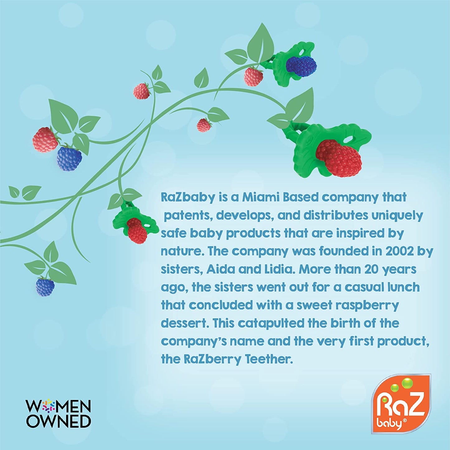 Baby Solids/Frozen Fruit Feeder Pacifier, Infant Teether Toy 6M+, Bpa-Free Silicone Pouch & Nipple, Safely Introduce Solids, Natural Teething Relief, Dishwasher Safe, Freezable – Green/Blue